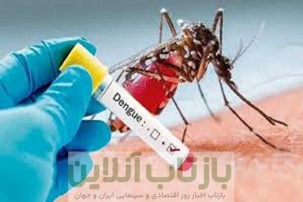 بوستانی: پشه آئدس ممکن است وارد خوزستان شود